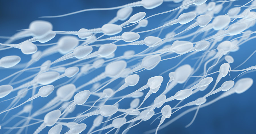Espermograma-quando-deve-ser-feito